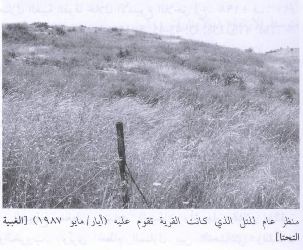 قرية الغبية التحتا قرية الغبية التحتا