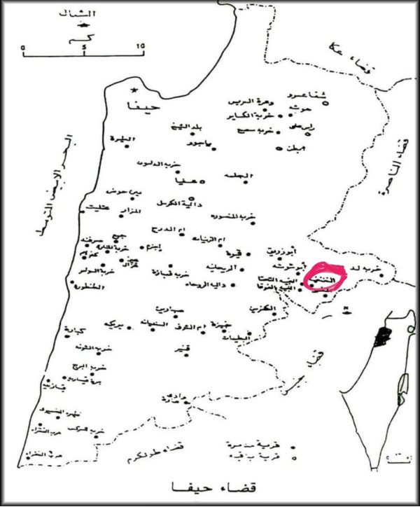 قرية النغنغية