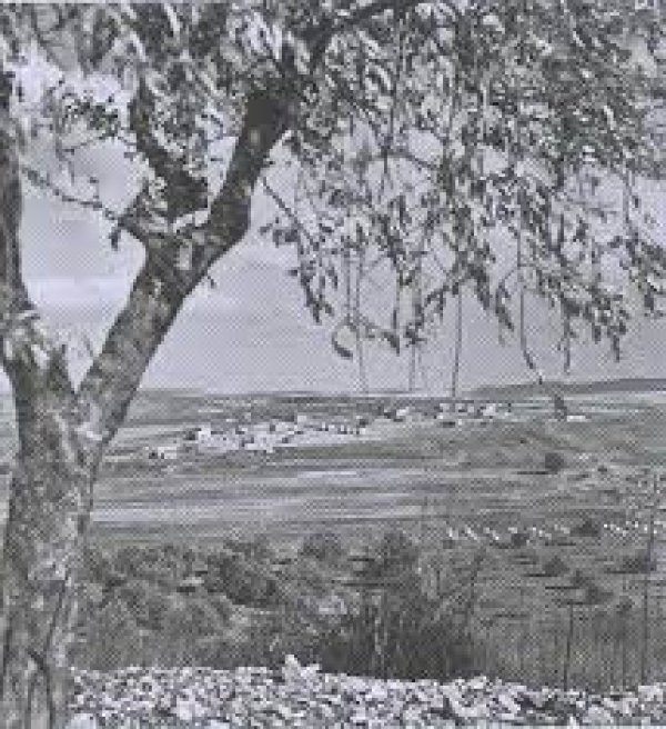 قرية قنير قرية قنير