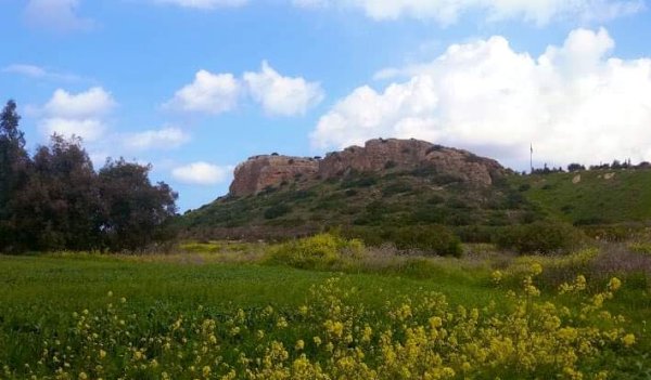  | موسوعة القرى الفلسطينية