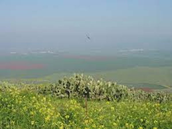  | موسوعة القرى الفلسطينية