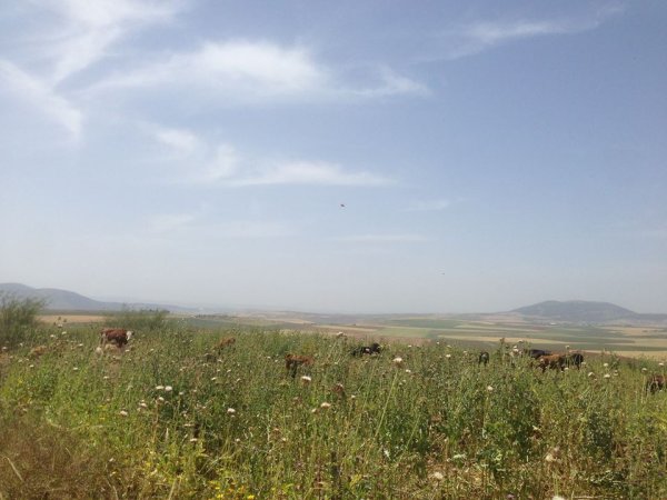  | موسوعة القرى الفلسطينية