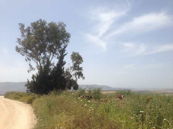  | موسوعة القرى الفلسطينية