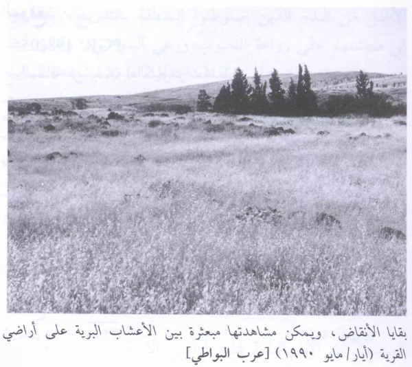 أراضي القرية أراضي القرية