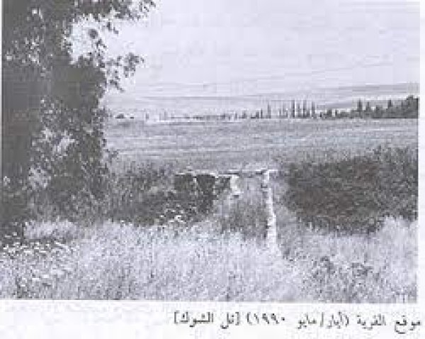 أراضي القرية أراضي القرية