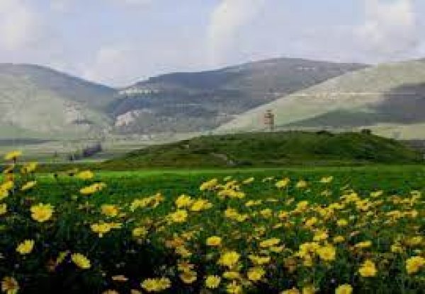  | موسوعة القرى الفلسطينية