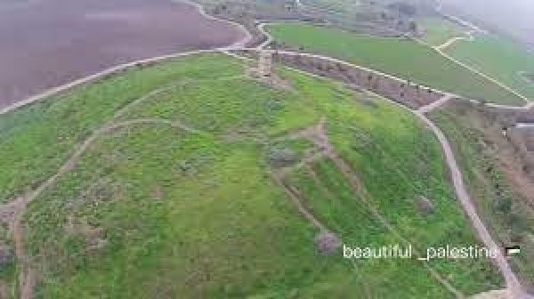  | موسوعة القرى الفلسطينية