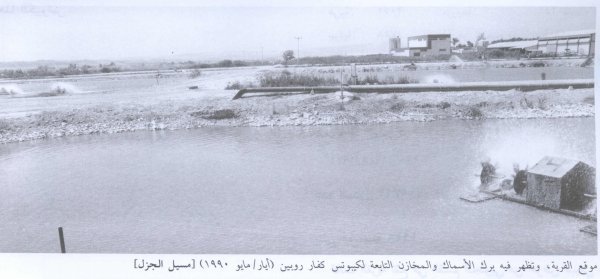 برك الماء برك الماء