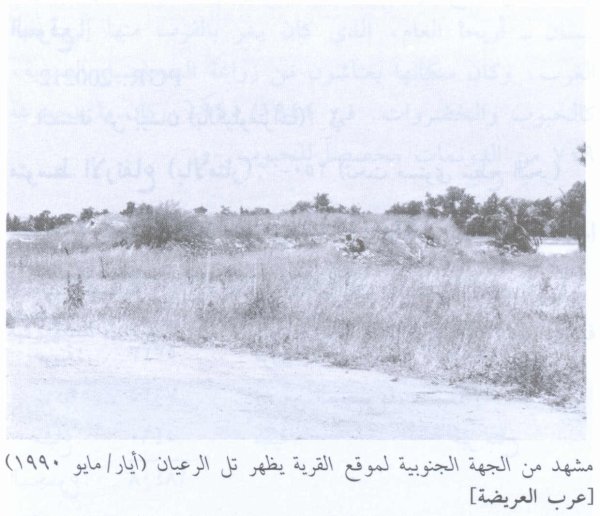 أراضي القرية أراضي القرية