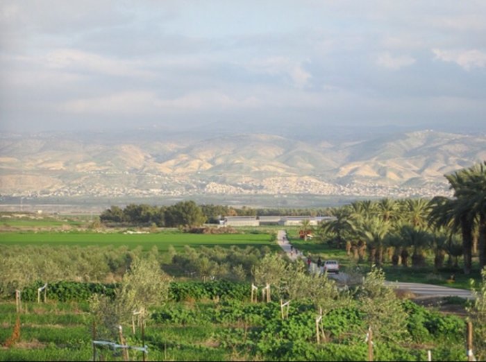 عرب العريضة / العريضة  | موسوعة القرى الفلسطينية
