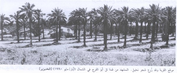 أراضي القرية أراضي القرية