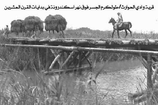 قرية وادي الحوارث/ طولكرم قرية وادي الحوارث/ طولكرم