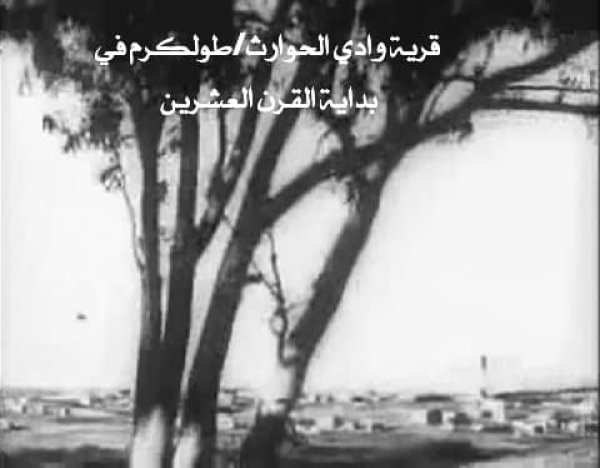 قرية وادي الحوارث/ طولكرم قرية وادي الحوارث/ طولكرم
