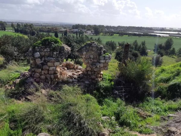 | موسوعة القرى الفلسطينية  | موسوعة القرى الفلسطينية