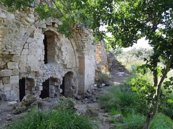 | موسوعة القرى الفلسطينية  | موسوعة القرى الفلسطينية