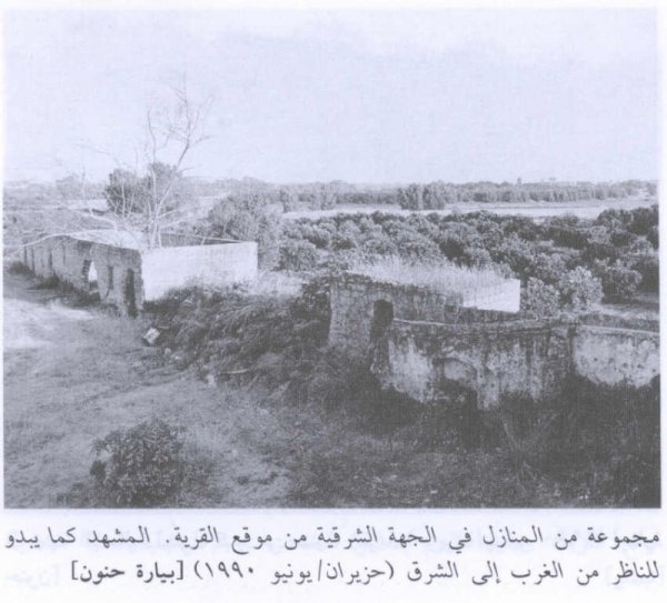 قرية بيارة حنون / طولكرم قرية بيارة حنون / طولكرم