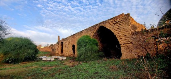 | موسوعة القرى الفلسطينية  | موسوعة القرى الفلسطينية