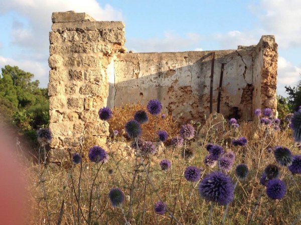 | موسوعة القرى الفلسطينية  | موسوعة القرى الفلسطينية