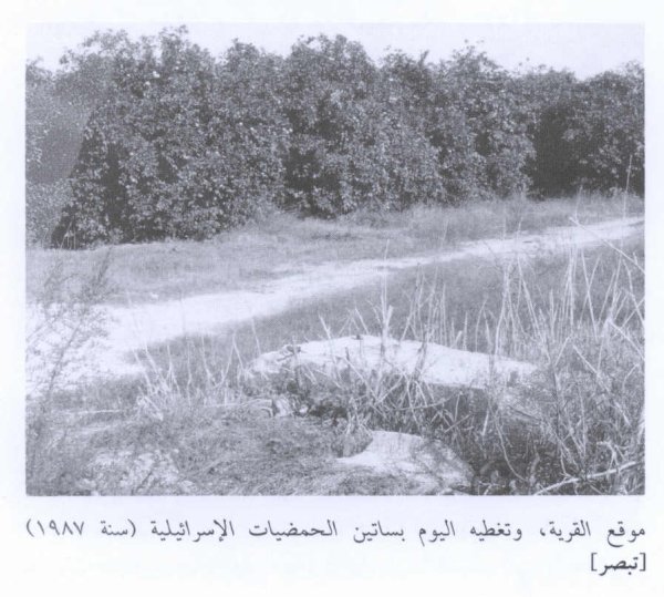 قرية تبصر / طولكرم قرية تبصر / طولكرم