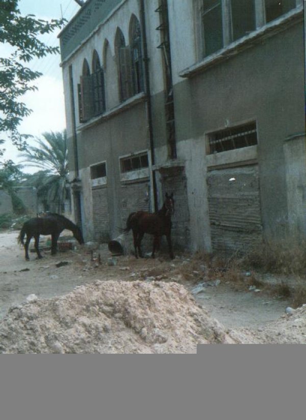 بيت إبراهيم أبو كحيل قبل الترميم