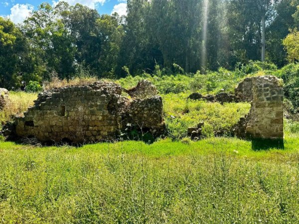 صور لقرية المحمودية/المرّ، نقلاً عن : الأستاذ ابراهيم أبوعمار