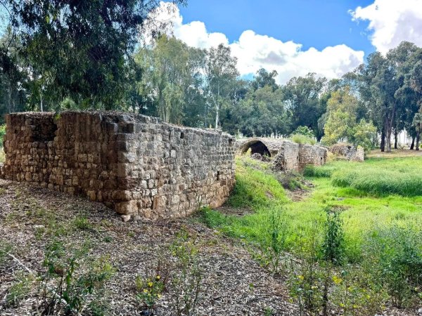 صور لقرية المحمودية/المرّ، نقلاً عن : الأستاذ ابراهيم أبوعمار