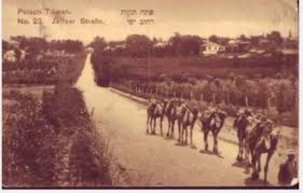 | موسوعة القرى الفلسطينية  | موسوعة القرى الفلسطينية