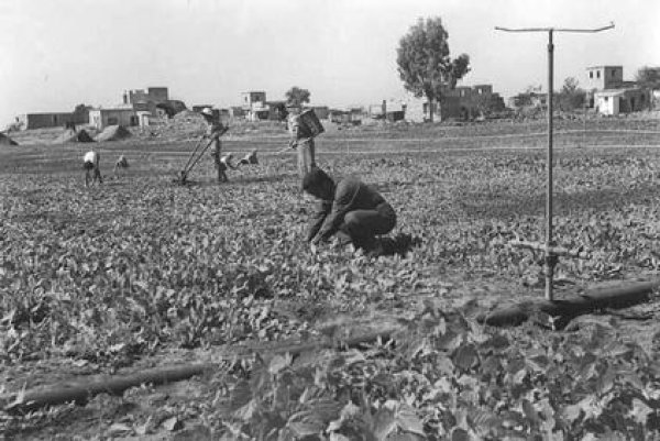 | موسوعة القرى الفلسطينية  | موسوعة القرى الفلسطينية