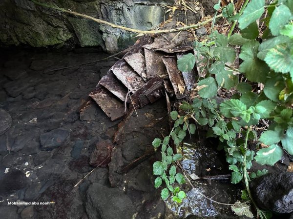 طاحونة القمح في قرية الدرباشية المهجرة قضاء صفد،تصوير : محمد أبو نوح