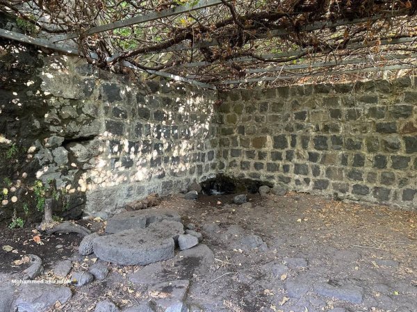 طاحونة القمح في قرية الدرباشية المهجرة قضاء صفد،تصوير : محمد أبو نوح