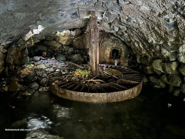 طاحونة القمح في قرية الدرباشية المهجرة قضاء صفد،تصوير : محمد أبو نوح