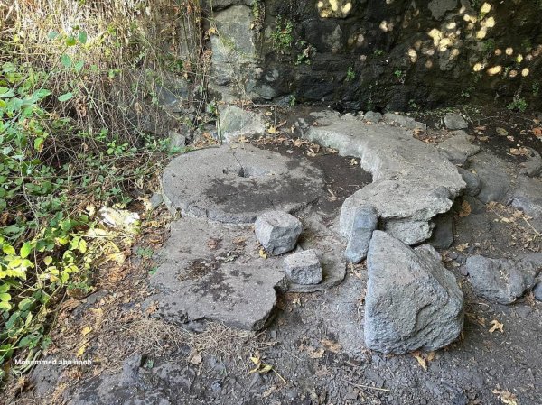 طاحونة القمح في قرية الدرباشية المهجرة قضاء صفد،تصوير : محمد أبو نوح