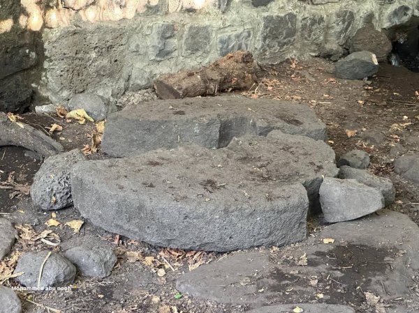 طاحونة القمح في قرية الدرباشية المهجرة قضاء صفد،تصوير : محمد أبو نوح