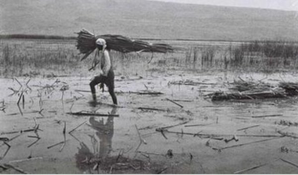 صورة لقرية الملاحة قبل النكبة صورة لقرية الملاحة قبل النكبة