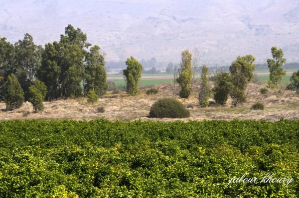  | موسوعة القرى الفلسطينية