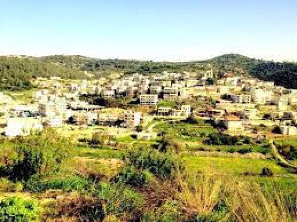 | موسوعة القرى الفلسطينية  | موسوعة القرى الفلسطينية