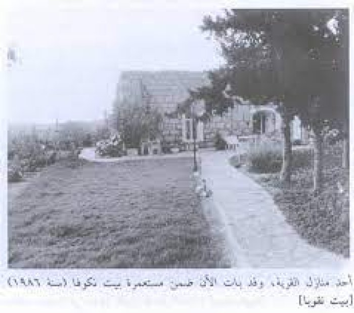 بيت نقوبا / نقوبة /عين نقوبا  | موسوعة القرى الفلسطينية