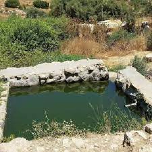 | موسوعة القرى الفلسطينية  | موسوعة القرى الفلسطينية