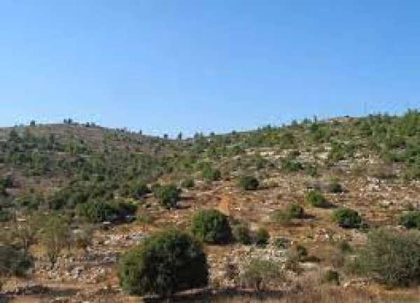 | موسوعة القرى الفلسطينية  | موسوعة القرى الفلسطينية