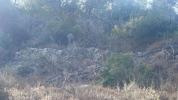  | موسوعة القرى الفلسطينية