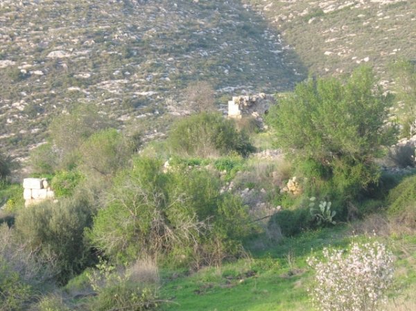  | موسوعة القرى الفلسطينية