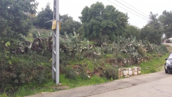  | موسوعة القرى الفلسطينية