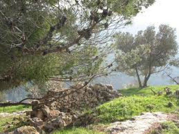 | موسوعة القرى الفلسطينية  | موسوعة القرى الفلسطينية