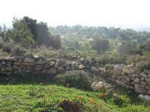 | موسوعة القرى الفلسطينية  | موسوعة القرى الفلسطينية