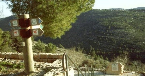 | موسوعة القرى الفلسطينية  | موسوعة القرى الفلسطينية
