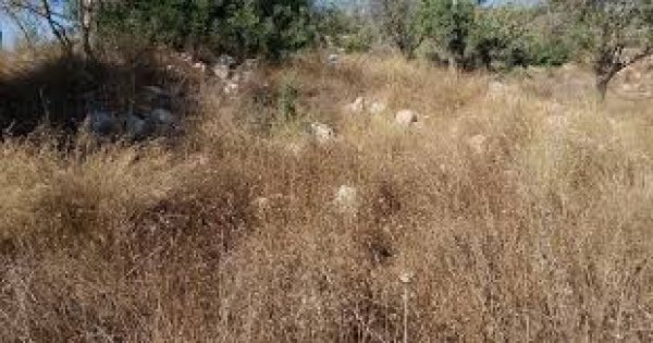 | موسوعة القرى الفلسطينية  | موسوعة القرى الفلسطينية