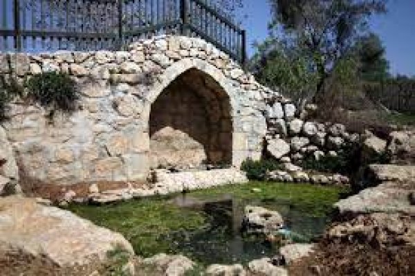 | موسوعة القرى الفلسطينية  | موسوعة القرى الفلسطينية