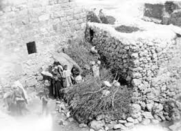 | موسوعة القرى الفلسطينية  | موسوعة القرى الفلسطينية
