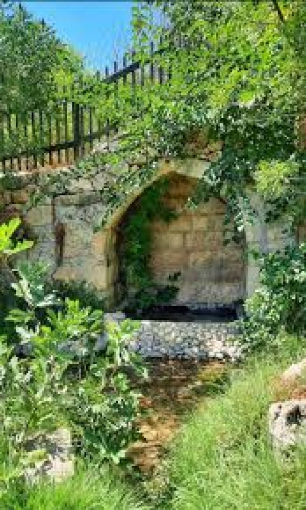 | موسوعة القرى الفلسطينية  | موسوعة القرى الفلسطينية