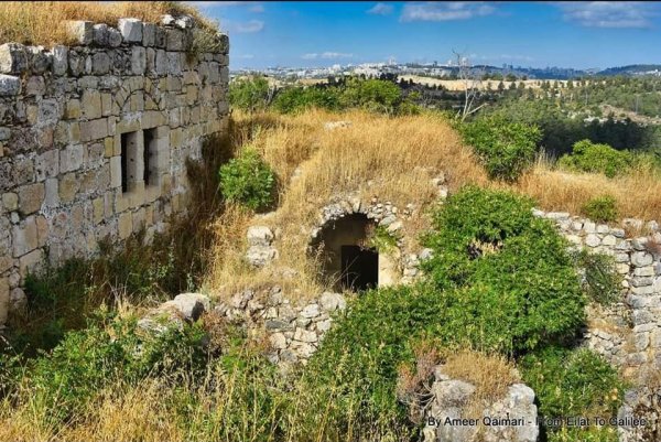 | موسوعة القرى الفلسطينية  | موسوعة القرى الفلسطينية